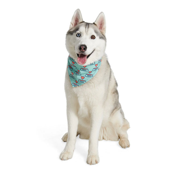 Bandana Personalizada para Pet